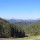 IMG_0005_1