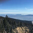 IMG_1346