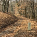 IMG_1486