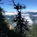 IMG0017