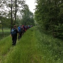 IMG0003