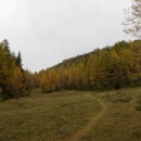 IMG_0003