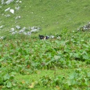 IMG0019