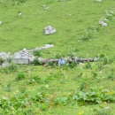 IMG0020
