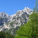 IMG_0005_1