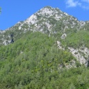 IMG_0006_1
