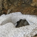 IMG_0007_1