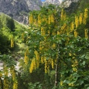 IMG_1755_1
