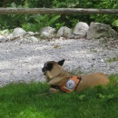 IMG0015