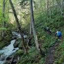 IMG_20210508_085629_25