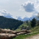ResizerImage-7