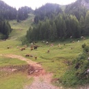 RIMG_2527