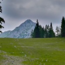 ResizerImage-1