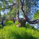 ResizerImage-13
