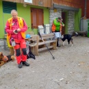 ResizerImage-24