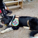 ResizerImage-27