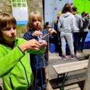ResizerImage-28