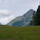 ResizerImage-4