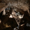 ResizerImage-12