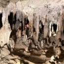 ResizerImage-7