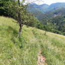slika-17
