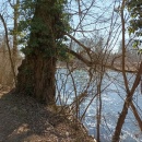 SLIKA-006