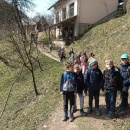 SLIKA-15