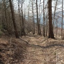 SLIKA-07