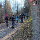 IMG_20231126_110419