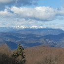 IMG_20231126_124226