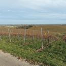 IMG_20231111_143851
