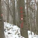 slika-008
