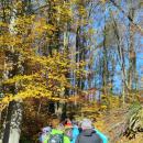 IMG_20231118_100504