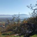 IMG_20231118_111029