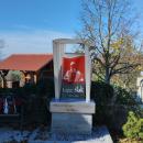 IMG_20231118_113428