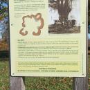 IMG_20231118_114628
