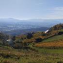 IMG_20231118_115823