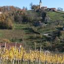 IMG_20231118_121623