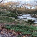 IMG_20231118_151008