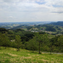 IMG_20230604_114530