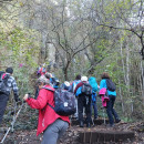 IMG_20231104_095032