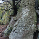 IMG_20231104_095400