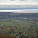 IMG_20231104_102116