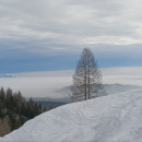 slika-006