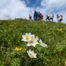 PXL_20240602_083827565