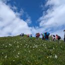 PXL_20240602_083952989