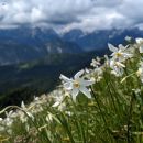 PXL_20240602_085638021