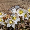 PXL_20240225_111242461