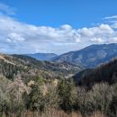 PXL_20240225_125952238