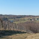 IMG_20240127_131148